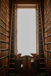 disinfestazione-archivi